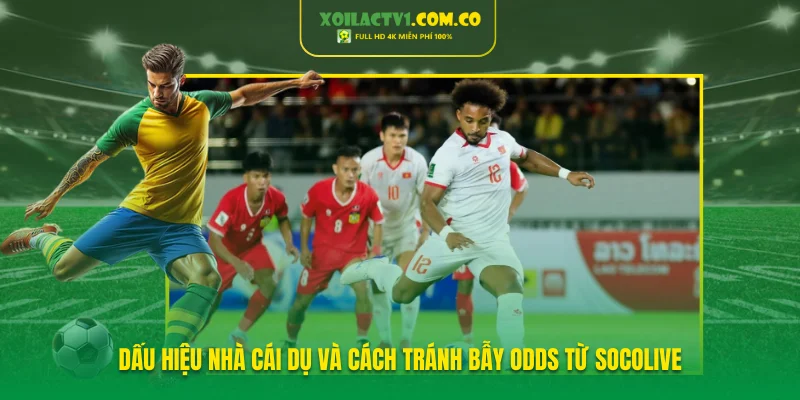 Dấu Hiệu Nhà Cái Dụ Và Cách Tránh Bẫy Odds Từ Socolive
